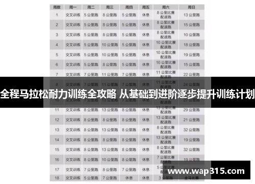 全程马拉松耐力训练全攻略 从基础到进阶逐步提升训练计划
