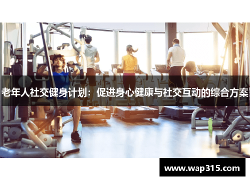 老年人社交健身计划：促进身心健康与社交互动的综合方案