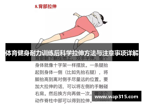 体育健身耐力训练后科学拉伸方法与注意事项详解