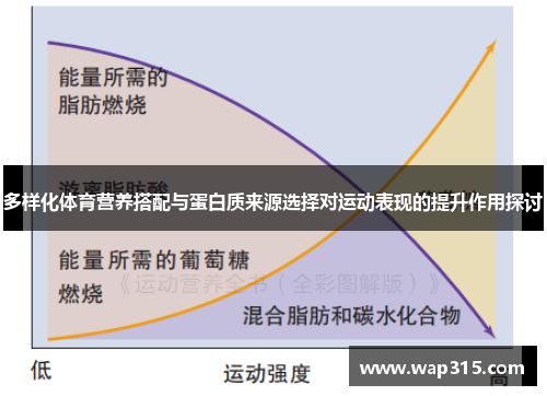 多样化体育营养搭配与蛋白质来源选择对运动表现的提升作用探讨